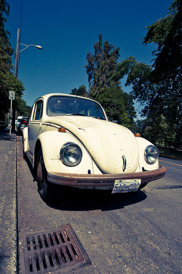 Beetle [EOS40D | EF-S10-22@10mm | 1/400 s |f/7.1 | ISO200]