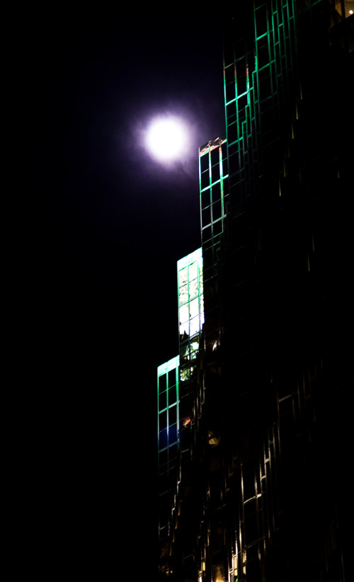 Moon lit night [EOS 5DMK2 | EF24-105L@105mm | 1/5 s | f/4 | ISO800]